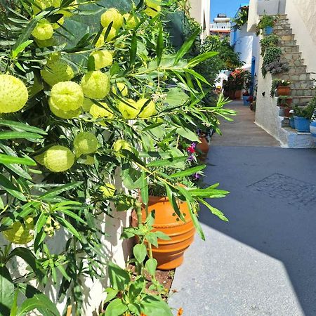 Βig Βlue Apartments Makrýgialos Exterior foto