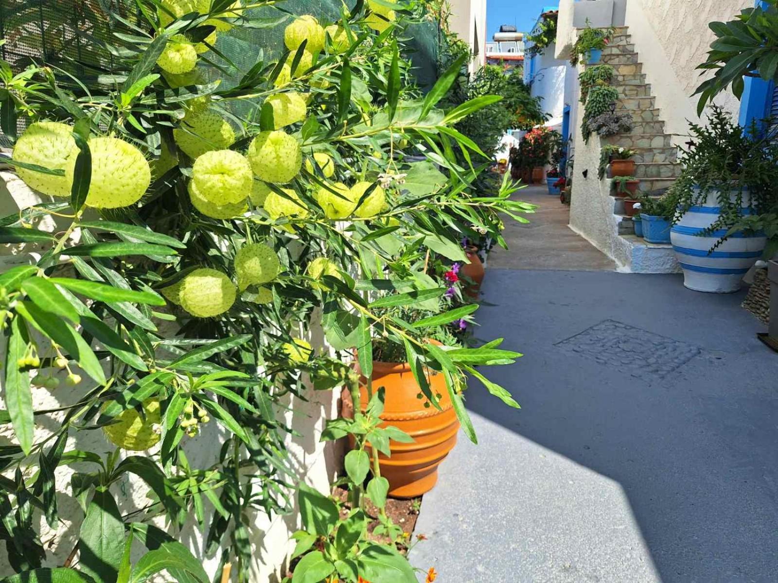 Βig Βlue Apartments Makrýgialos Exterior foto