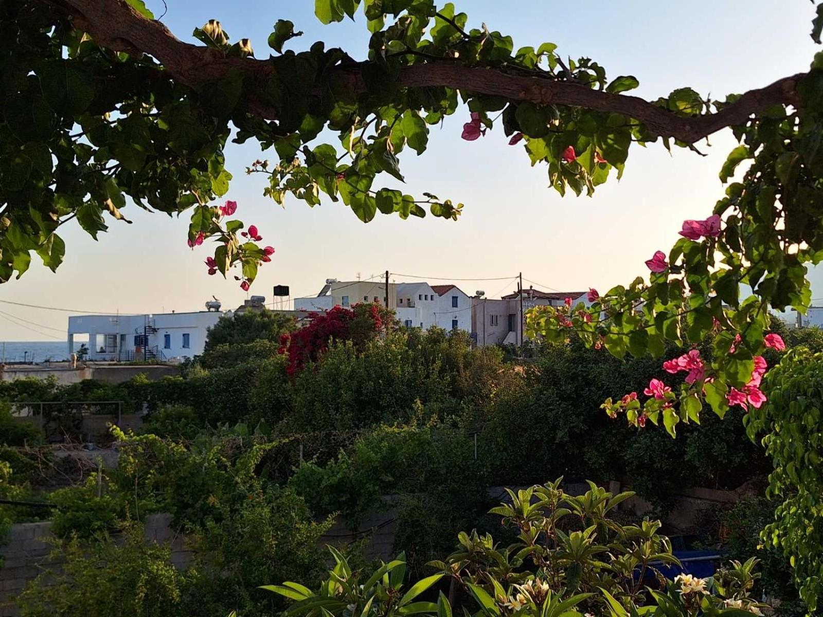 Βig Βlue Apartments Makrýgialos Exterior foto