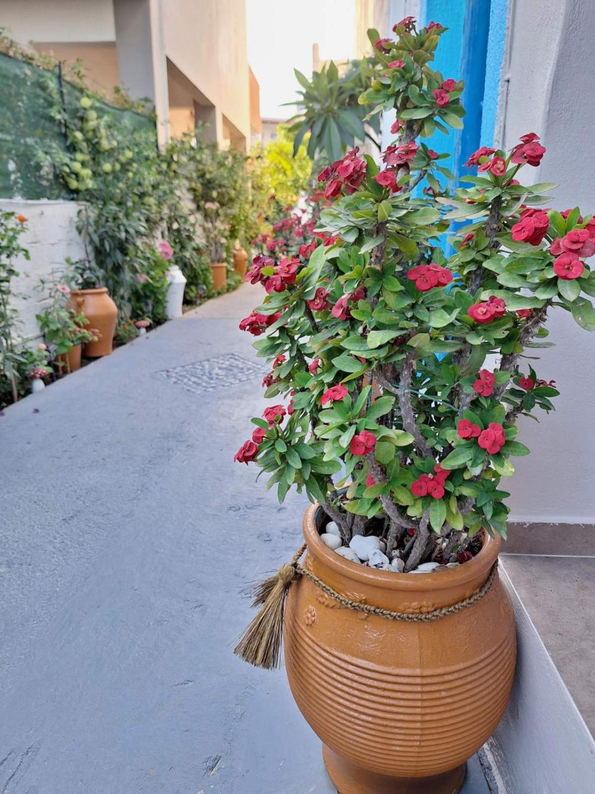 Βig Βlue Apartments Makrýgialos Exterior foto