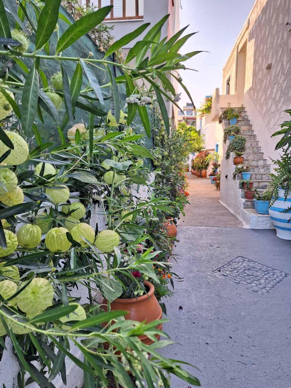 Βig Βlue Apartments Makrýgialos Exterior foto