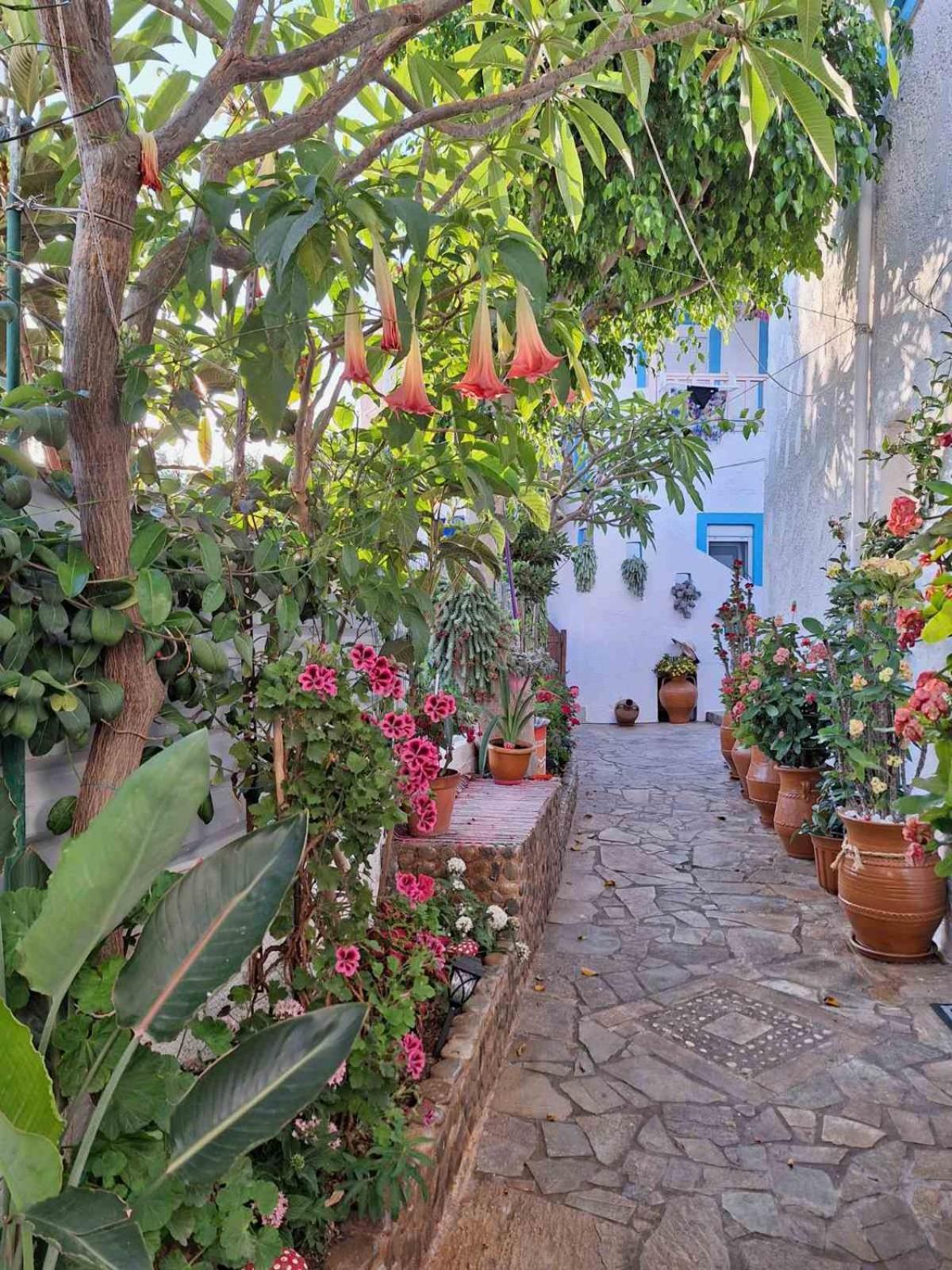 Βig Βlue Apartments Makrýgialos Exterior foto