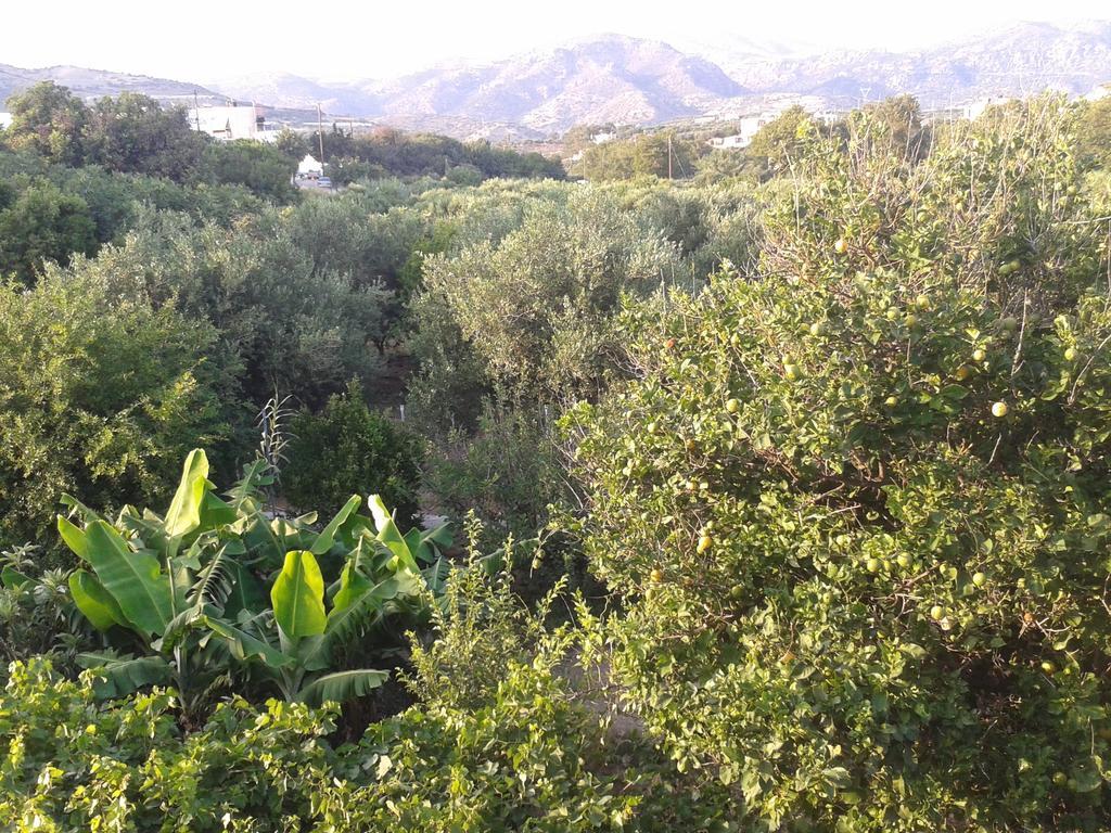 Βig Βlue Apartments Makrýgialos Habitación foto